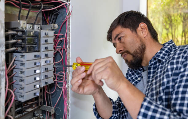 Best Electrical Repair Services  in Grass Lake, MI